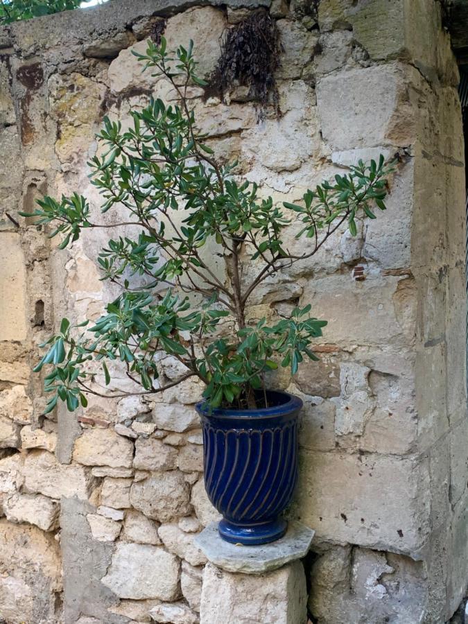 La Petite Maison Crepy-en-Valois Εξωτερικό φωτογραφία